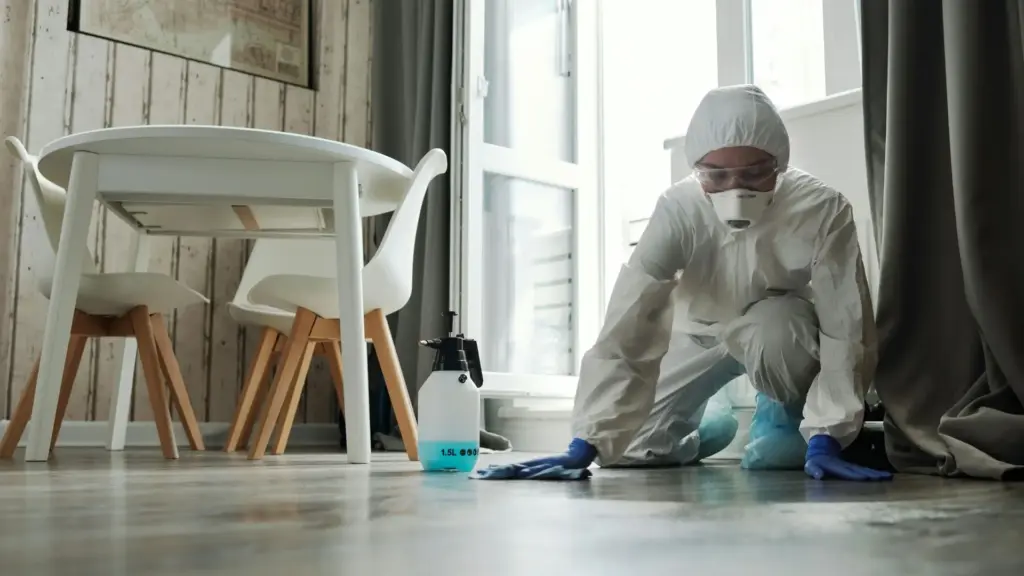 Water damage restoration technician in a hazmat suit and respirator cleaning a residential floor.